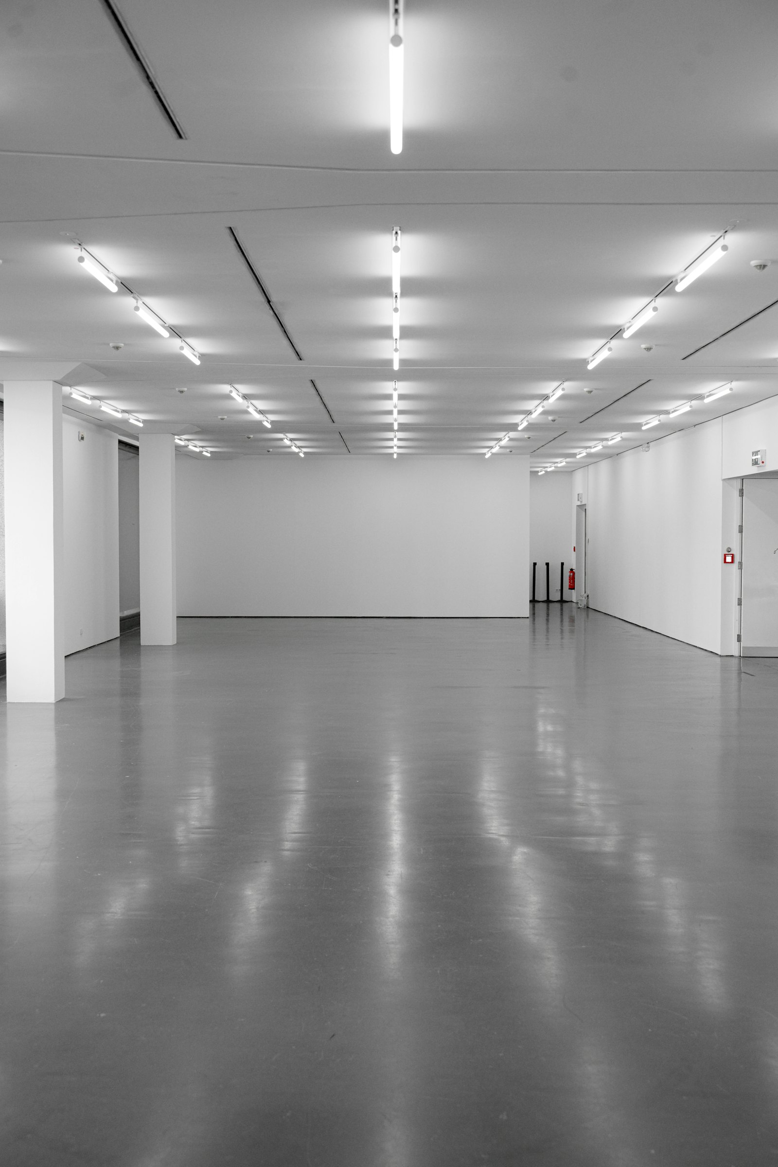 Sealed grey concrete floor reflecting light